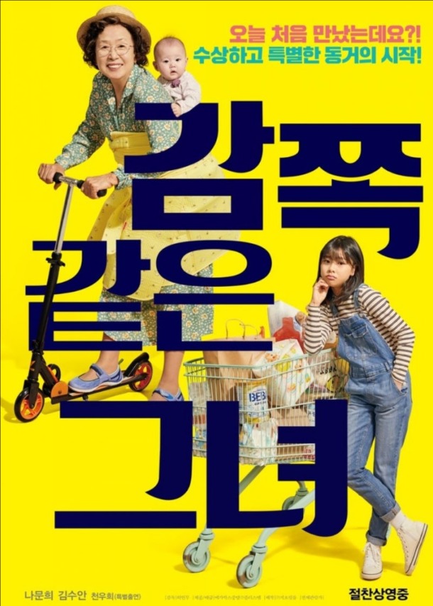 감쪽같은 그녀 (2019)